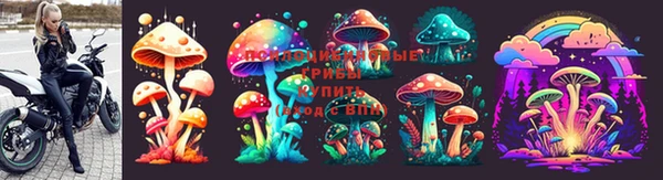 гидра Богданович