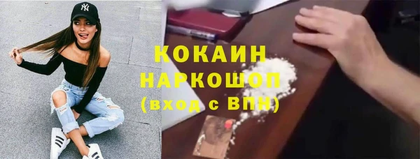 гидра Богданович