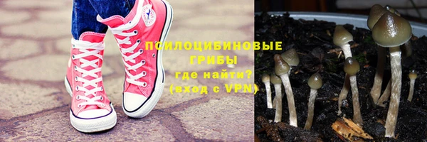 2c-b Белоозёрский