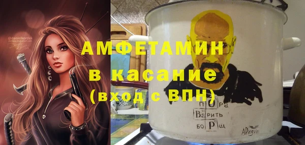 гидра Богданович