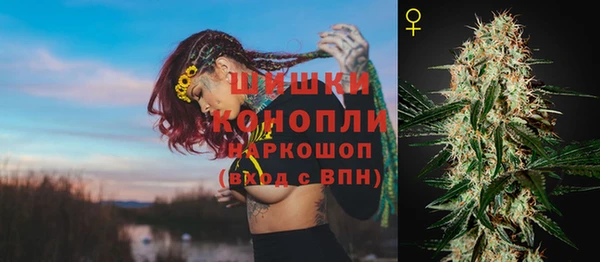 гидра Богданович